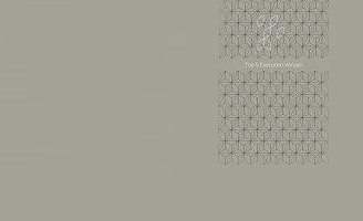 Top 5 Execution Venues 2020